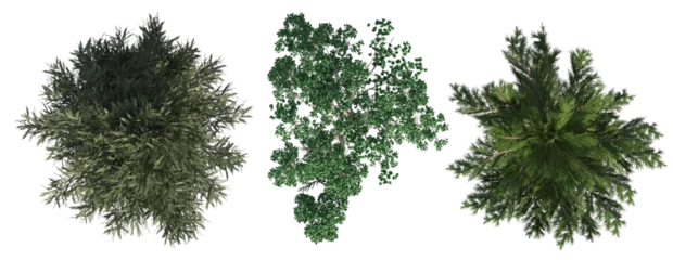 Fototapeten Khaki Top view set of three different trees isolated for landscape architecture and site plan design  © arif