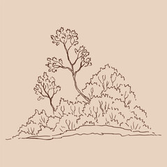 Nature landscape with forest. Hand drawn vector illustration.