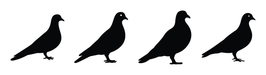 Fototapeta premium Empty vector file display