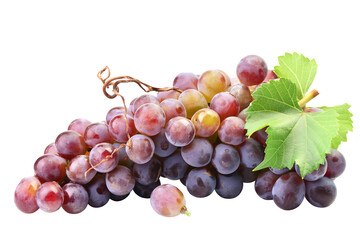 Red grapes isolated on white