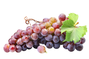Red grapes isolated on white