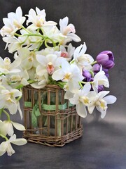 orchid flowers, cut flowers, cut white orchid branches, purple tulip, flower bouquet, lush cream orchids