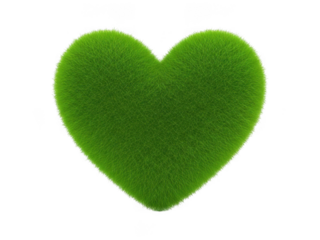 Green heart shaped bush isolated on transparent background