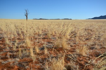 Sandw&uuml;ste im Namib-Naukluft-Nationalpark in Namibia