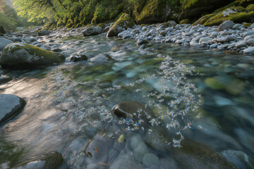 Serene river flow nature landscape