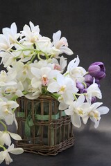 orchid flowers, cut flowers, cut white orchid branches, purple tulip, flower bouquet, lush cream orchids