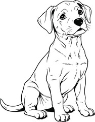 Fototapeta premium Black wildflower silhouette collection featuring delicate field flowers meadow blossoms and botanical branch elements for natural and minimalist creative designs.