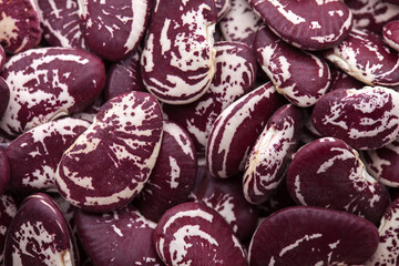 Top view of a pile of dried red speckled Beans. Food background. Close-up. Selective focus.