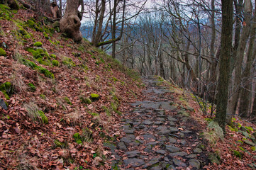 Omszała kamienna ścieżka przez usłany liśćmi las wzdłuż zbocza wzgórza - Późnojesienny krajobraz rezerwatu przyrody „Ostrzyca Proboszczowicka”. © Pol Badger
