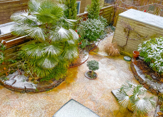 Plants in a snowy garden with a bamboo fence and colorful flagstones, Almere, Flevoland, Netherlands