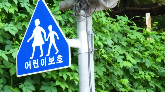Seoul, South Korea - 1 Jun 2024 : Traffic sign protect kid