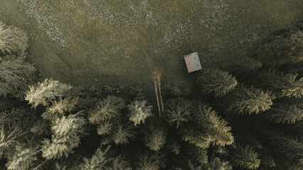 Vue a&eacute;rienne d'une petite cabane isol&eacute;e &agrave; l'or&eacute;e 'une for&ecirc;t de pins, vue de dessus par drone
