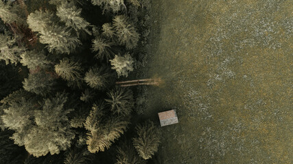 Vue a&eacute;rienne d'une petite cabane isol&eacute;e &agrave; l'or&eacute;e 'une for&ecirc;t de pins, vue de dessus par drone