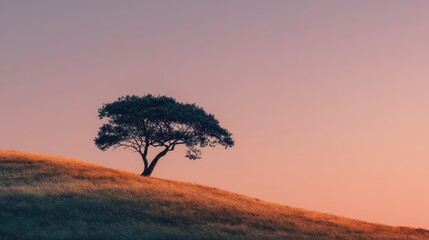 A lone tree on a hill at sunset