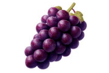 Purple grapes cluster with stem and leaves, fresh organic fruit on transparent background, sweet juice ingredient