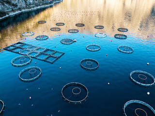 Aerial view of a fish farm with floating cages arranged on the water surface. Modern aquaculture and sustainable seafood production