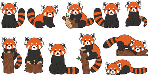 Cute red panda cartoon characters set playful forest animal poses vector illustration © Rumi