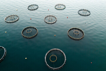 Aerial view of a fish farm with floating cages arranged on the water surface. Modern aquaculture and sustainable seafood production © scharfsinn86