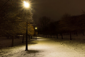 sosnowiec, górka środulska , park nocą  © rob
