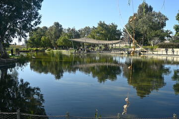 A pond in a city park