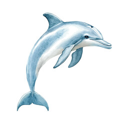Dolphin, watercolor vector depicting playful antics, isolated on a white background. © velora