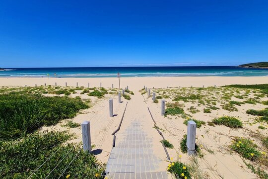 Sydney, Australia - 9 November 2021: Maroubra Beach Pathway &ndash; Sandy Trail with Ocean View and Coastal Vegetation. A scenic pathway leading to the sandy shoreline. 