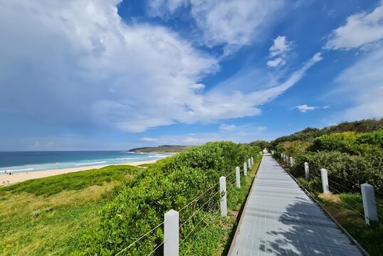 Sydney, Australia - 9 November 2021: Maroubra Beach Walkway &ndash; Wooden Path with Ocean View and Coastal Vegetation. The image captures the natural beauty of the Australian coastline. 