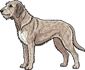 Obraz premium Otterhound dog standing side profile view looking away