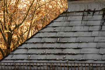 Moos wächst zwischen den Dachziegeln eines Hausdachs © Kostas Koufogiorgos