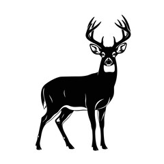 deer silhouette vector © Shahriar
