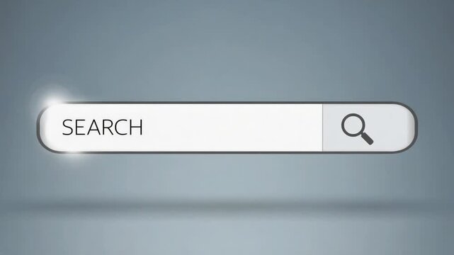 A browser's search engine.