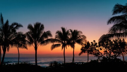 Silhouetted palm trees at sunset over the ocean