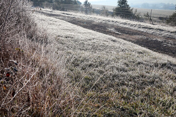 le givre sur la campagne