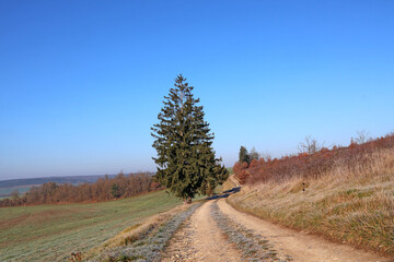 Fototapeta premium Paysage hivernal sous un ciel bleu