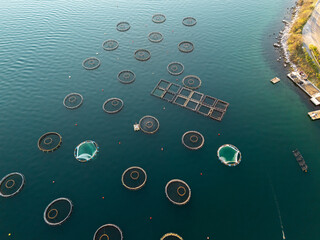 Aerial view of a fish farm with floating cages arranged on the water surface. Modern aquaculture and sustainable seafood production