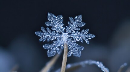 A close up of a delicate snowflake sparkling with captured light against a dark background