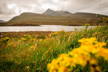 Vista panoramica costa scozzese