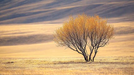 A lone golden tree stands in a sunlit autumn field with rolling hills in the background