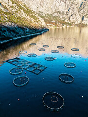 Aerial view of a fish farm with floating cages arranged on the water surface. Modern aquaculture and sustainable seafood production