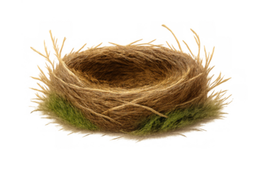 Empty bird nest on transparent background showing fragile structure, a symbol of nature, new life, hope, and home