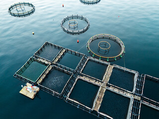 Aerial view of a fish farm with floating cages arranged on the water surface. Modern aquaculture and sustainable seafood production