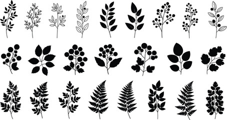 Set Of Black Silhouette And Line Art Foliage Featuring Ferns Wild Berries And Leafy Branches For Nature Garden And Botanical Design, © Afsun