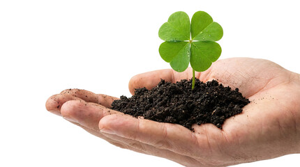 Hand holding soil with a small green plant featuring four leaves symbolizing growth and nature product shot isolated