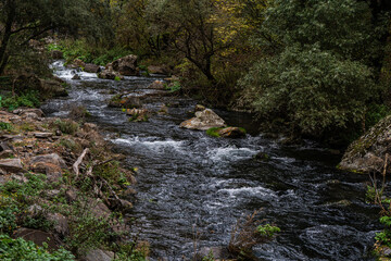 Fototapeta premium Dashbashi canyon in Georgia in autumn