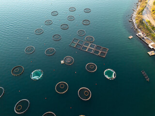 Aerial view of a fish farm with floating cages arranged on the water surface. Modern aquaculture and sustainable seafood production