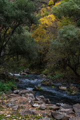 Obraz premium Dashbashi canyon in Georgia in autumn