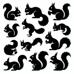 Collection of squirrel silhouettes isolated on white background, Vector, illustration