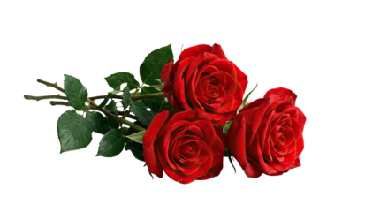 Three vibrant red roses with lush green leaves arranged elegantly on a white background product shot isolated