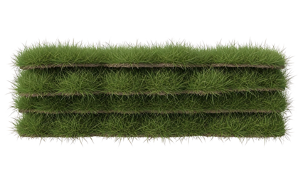Rolls of green grass turf isolated on a transparent background lawn