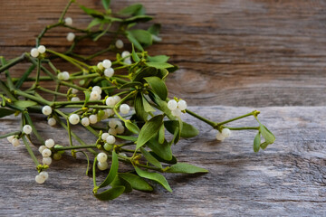 Mistletoe branches with white berries close up on wooden table. Medicinal parasitic plant growing on trees, traditionally used in herbal remedies. festive decor for wedding, Christmas, winter holidays